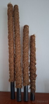 Pokojové rostliny - monstera albo, thai, syngonium albo.. - 14