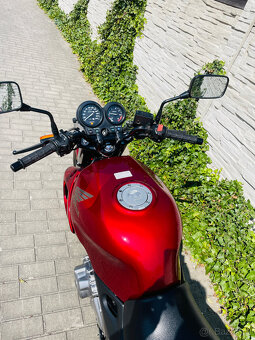 Honda CB500 r.v.2000 v TP 24 kW - 14