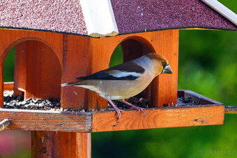 Sony FE 200-600mm + neopren + UV filtr STAV NOVÉHO - 14