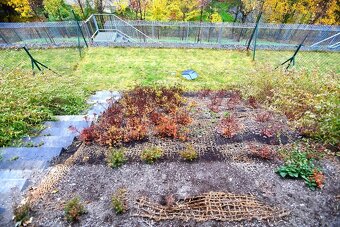 Pronájem rodinného domu 190 m, pozemek 285 m, Praha 5-Košíře - 14