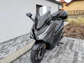 Honda Forza 125 záruka 12 měsíců,r.v.2023 - 14