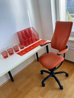 Zdravotní ergonomická židle SpinaliS APOLLO - 14