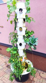 Hydroponická věž - 6 pater - 14