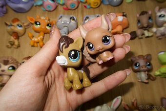 Lps Set - 14