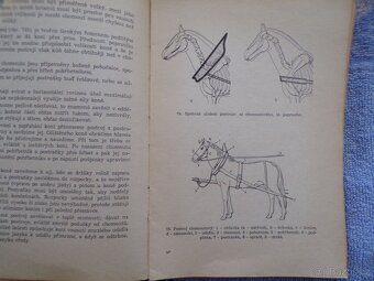 Chov ovcí, Biologie výživy, Kožešinové zvířata, Základy. - 14