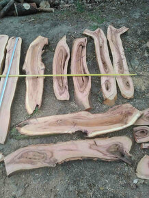 švestka fošny 4cm silné,vhodné do pryskyřice a na dekoraci - 14