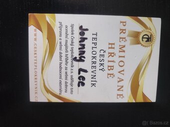 Mladý valach ČT - 14