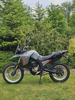 Malaguti Dune 125 ABS - 14