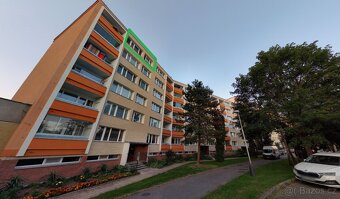 Pronájem 1+1 Přerov - 14