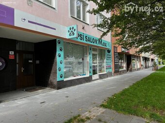 Pronájem bytu 2+kk 41 m² Olomouc - 14