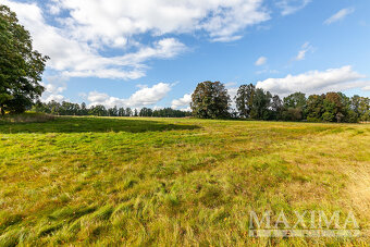 Pozemek  o ploše 10713 m2 - Pertoltice, Dolní Pertoltice - 14