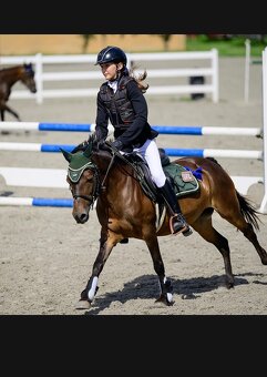Pony učitelka - 14