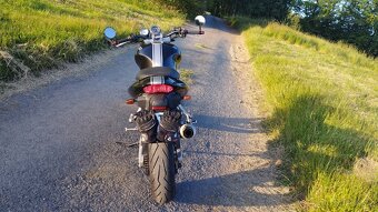Suzuki SV 650 N, 35 kW - 14