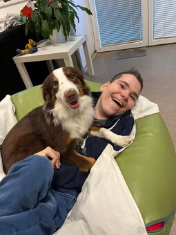 MINIATURNÍ AMERICKÝ OVČÁK - psi - 14