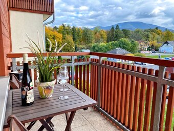 Pronájem byt 1kk (40m2) + park. stání, Čeladná - Farské luky - 14