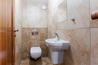 Pronájem bytu 3+kk, Praha 2  Vinohrady - 14