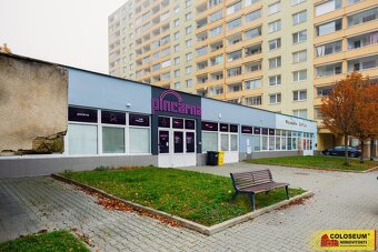 Brno - Královo Pole, byt OV 1+1, sklepní kóje, lodžie, inves - 14