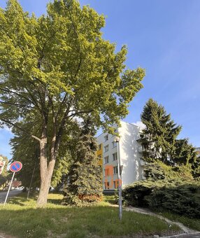 Prodej bytu 2+1 o rozloze 60 m2, ulice 17. listopadu, Písek  - 14
