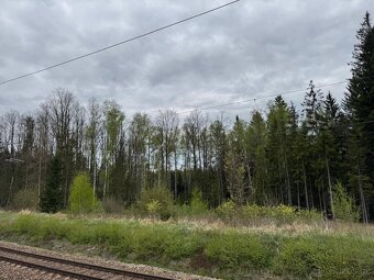 Prodám lesní pozemek v k.ú. Bednáreček - 14