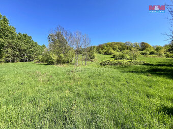 Prodej louky, 21830 m², Malšovice - Hliněná - 14
