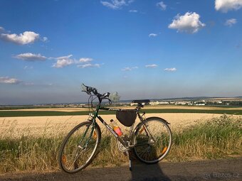 Silniční kolo Author pánské - 14