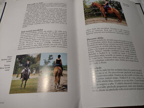 Odborná literatura o koních, jezdectví - Trénink koně - 14