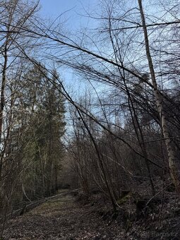 Prodám pozemky v katastrálním území Louňovice pod Blaníkem - 14