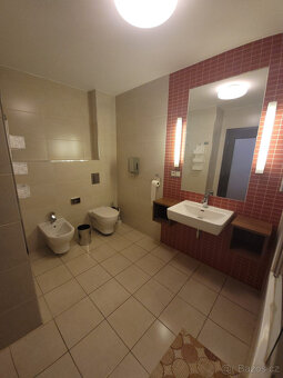 Pronájem bytu 2+kk, U Borského parku 2887/27, 52 m2 - 14