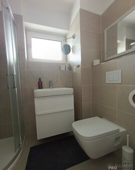 Pronájem garsoniery s lodžií a terasou - 14