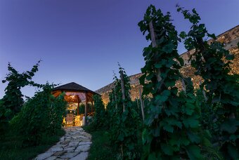 Loftový byt 2+kk na Albertově s GS - 14