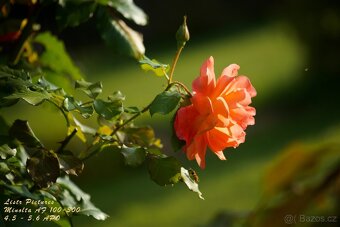 Objektiv Minolta AF 100-300 mm APO - bajonet Sony A - 14