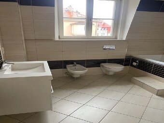 Prodej prvorepublikové vily Karlovy Vary Tuhnice - 14