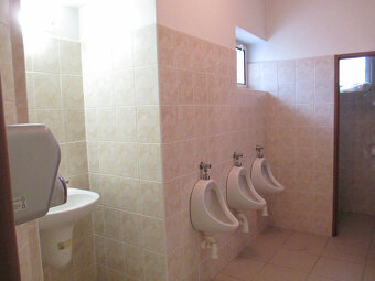 Prodej,komerční objekt 887m2, pozemky 1396m2, Mladá Boleslav - 14