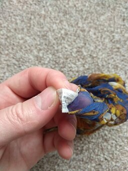 Nový dámský lehký šátek - motiv mořské plody, Indie, viskóza - 14