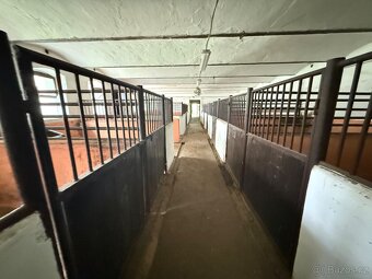 Pronájem jezdeckého areálu – 26 756 m², Měčeříž u Prahy - 14