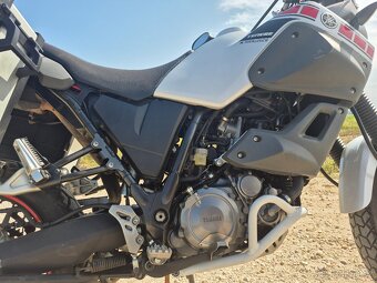 Yamaha XT660Z Ténéré (2008) 35kw A2 - 14
