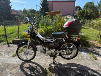 KENTOYA TWIN CUP 50 4T - 14