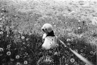 Olympus OM40 + objektivy tokina + motor - 14