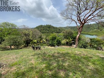 LOT 6 Bodden Bight Estate, Roatan - 14