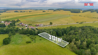 Prodej louky, 4178 m², Dětřichov - 14