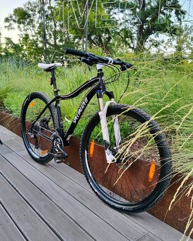 Horské kolo Specialized Jett Comp, rám 19", kola 29" - 14
