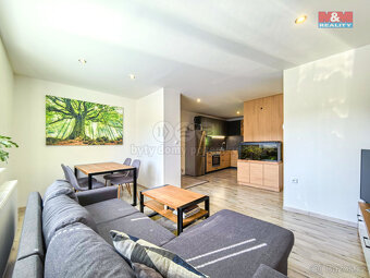 Pronájem bytu 3+kk, 64 m², Dolní Dobrouč - 14