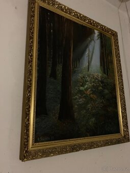 Mišmaš: 3x botník, pekárna jablka, ... dále nabízím obrazy - 14