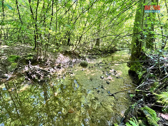 Prodej vodní plochy, 3255 m², Skalice u České Lípy - 14
