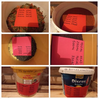 Akvarijní ryby,šneci,krevetky,rostliny - 14