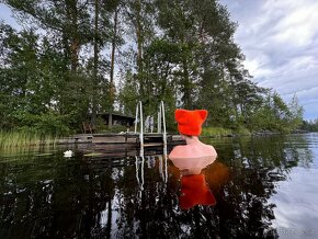 Chata se saunou ve Finsku - klid, relax a rybolov - 14