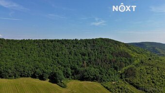 Prodej pozemek Lesy, 3149㎡ - 14