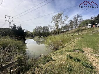 Prodej pozemků se dvěma rybníky, 15 233 m2 - Hradec u Stoda - 14