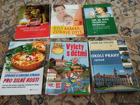 Knihy viz seznam níže - beletrie i odborná literatura - 14