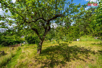 Prodej chaty, 20 m², Kamýk nad Vltavou - 14